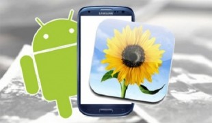 Cách 'hô biến' Android 6.0 Marshmallow cho điện thoại Android