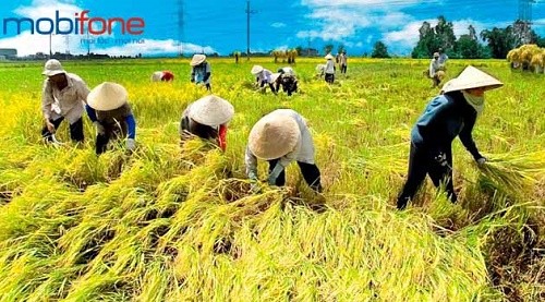 Tìm hiểu thông tin về dịch vụ Bạn nhà nông của Mobifone