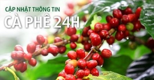 Thông tin chi tiết về dịch vụ Nhà nông Xanh của Mobifone